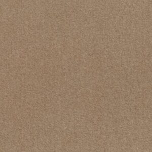 INSPIRATIONAL by Shaw Floors - Kansas Soil