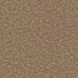 ROYAL PORTRUSH I 12' by Shaw Floors - Golden Echoes