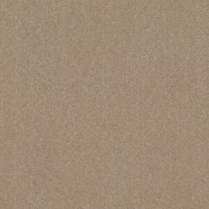 SOLIDIFY III 12' by Shaw Floors - Raw Lumber