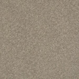 AFTER ALL II by Shaw Floors - Sandstone