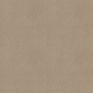 CATHEDRAL HILL II by Shaw Floors - Feather