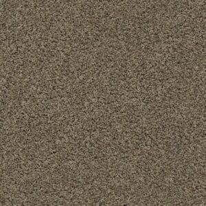 DEL MORRO by Shaw Floors - Denali
