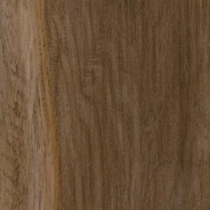Symbiotic 12 by Shaw Floors - Terra