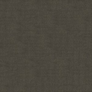 SENSIBLE NOW by Shaw Floors - Iron Gate
