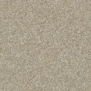 ALL OVER IT II by Shaw Floors - Latte