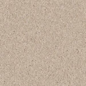 KNOCKOUT II 12' by Shaw Floors - Face Powder