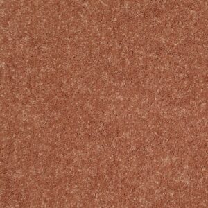 NEWBERN CLASSIC 15' by Shaw Floors - Sunburst