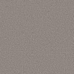 JUST A HINT II by Shaw Floors - Sterling