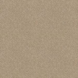 CHALLENGE ACCEPTED I 12' by Shaw Floors - Agate