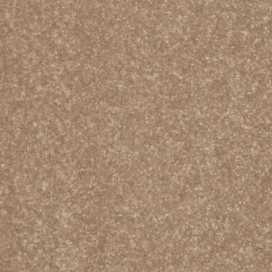 UNION CITY II 15' by Shaw Floors - Tassel