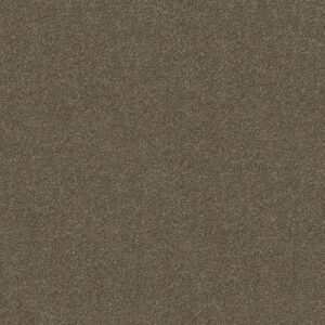 BEAUTIFULLY SIMPLE by Shaw Floors - Saddle