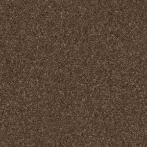 QUIET COMFORT IV by Shaw Floors - Bison