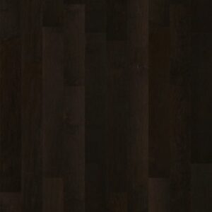 MENDOCINO by Shaw Floors - Midnight