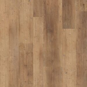 Paragon Mix Plus by Shaw Floors - Touch Pine