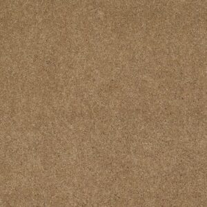 CASHMERE CLASSIC IV by Shaw Floors - Navajo