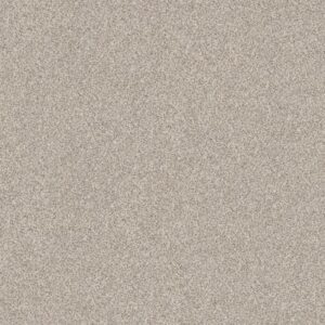 DELICATE DISTINCTION CLASSIC II by Shaw Floors - Valley
