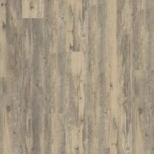 World's Fair 6 II by Shaw Floors - Brisbane