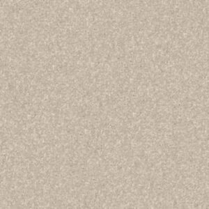 QUIET COMFORT CLASSIC I by Shaw Floors - Suede