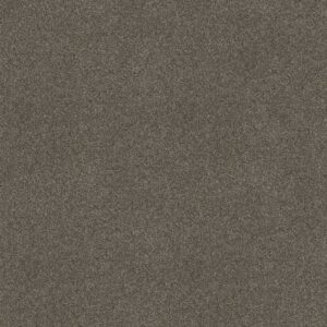 WHAT'S UP by Shaw Floors - Bear Mountain
