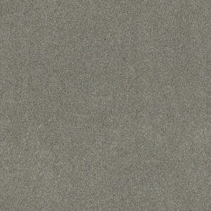 ACROSS THE BAY by Shaw Floors - Drift