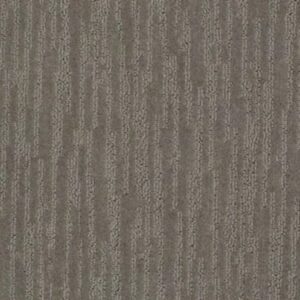 CORAL CANYON by Shaw Floors - Charcoal