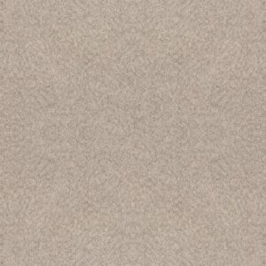 ALLURING CANVAS by Shaw Floors - Sandstone