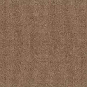 FINE TAPESTRY by Shaw Floors - Raw Wood