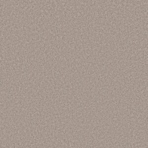 BOUNDLESS III by Shaw Floors - North Shore