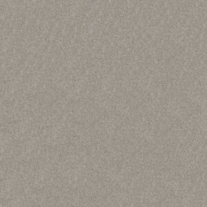 BOUNDLESS II by Shaw Floors - Reflection