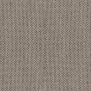 NATURALISTIC by Shaw Floors - River Run