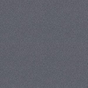 HARMONIOUS II by Shaw Floors - Indigo Ink