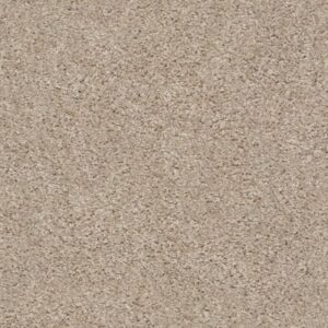 BURTONVILLE by Shaw Floors - Stratosphere