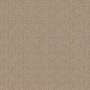 LIGHT IMPRESSIONS by Shaw Floors - Worn Path