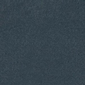 HARD AT PLAY I 12' by Shaw Floors - Refined
