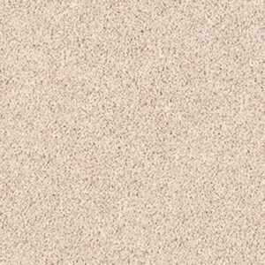 WOODSBORO by Shaw Floors - Broadstone