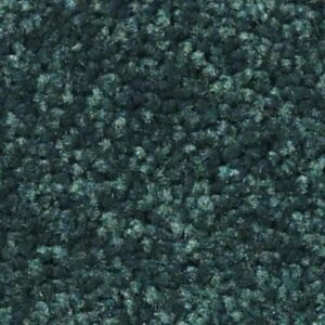 SUN VALLEY 12 by Shaw Floors - Polo