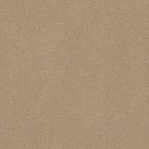 ESSAY II 12' by Shaw Floors - Crisp Linen