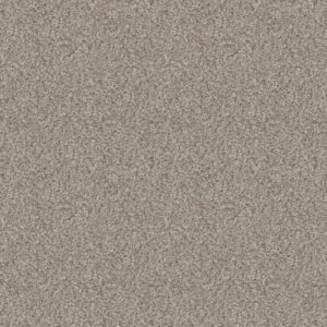 BREAK AWAY (T) by Shaw Floors - Buff