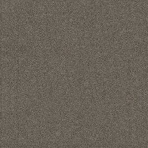 BOUNDLESS I by Shaw Floors - Slate Stone