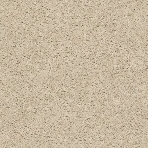 BREAK AWAY (S) by Shaw Floors - Ecru