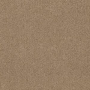 LACONA 12' by Shaw Floors - Dusty Trail