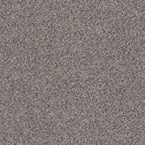 TAKE THE FLOOR ACCENT I by Shaw Floors - Soapstone