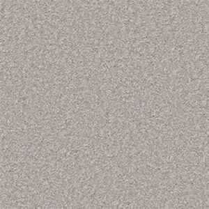 SHINGLE CREEK IV 15' by Shaw Floors - London Fog