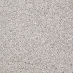 MAJORITY RULES by Shaw Floors - Catnip