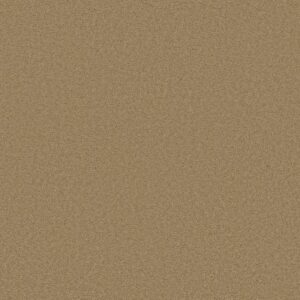 CASHMERE CLASSIC III by Shaw Floors - Navajo
