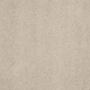 CASHMERE CLASSIC II by Shaw Floors - Suede