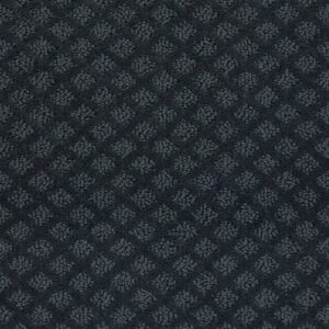 PACE SETTER by Shaw Floors - Indigo