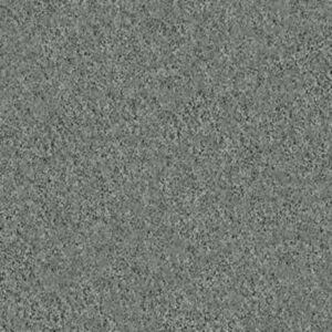MY CHOICE I by Shaw Floors - Silver Sage