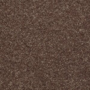 ALL STAR WEEKEND III 12' by Shaw Floors - Cattail