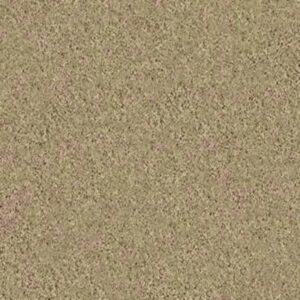 LOYAL BEAUTY I by Shaw Floors - Taffeta